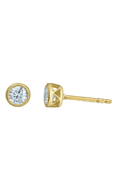 Diamond Evolution  Earring E4752/40-10