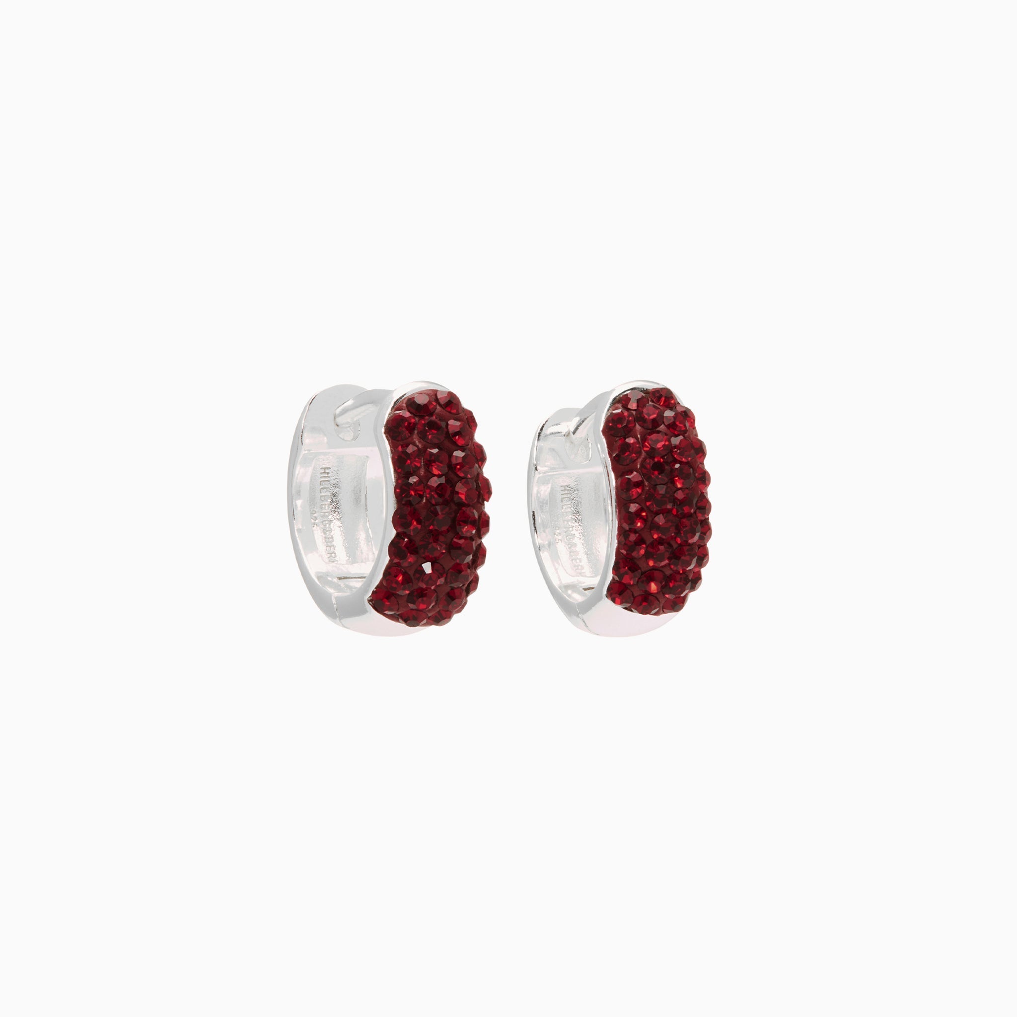 Birthstone Sparkle Hoop - Mini - January