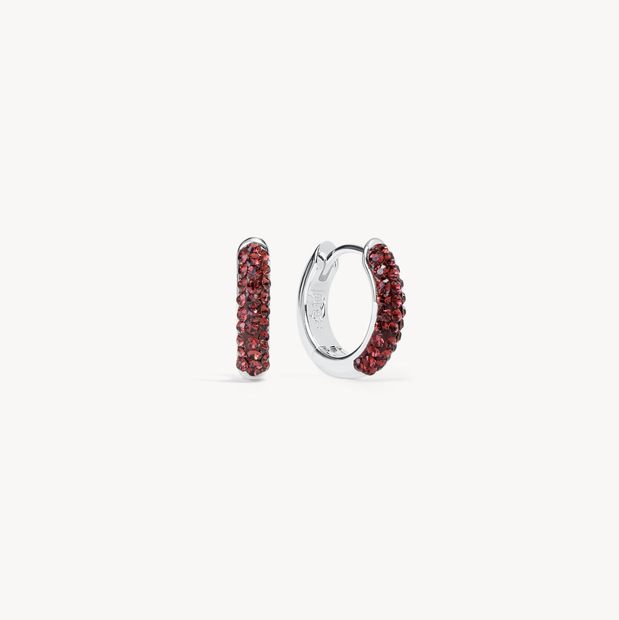 Always On Sparkle Birthstone Hoops - January Always On Sparkle Birthstone Hoops - January